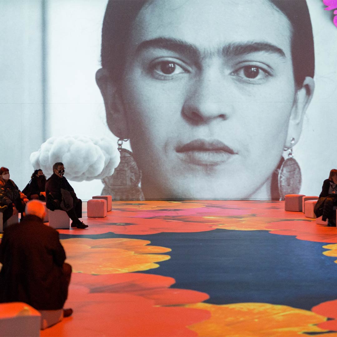 _FN_Art-Box_Mobile-hero_Frida-Kahlo