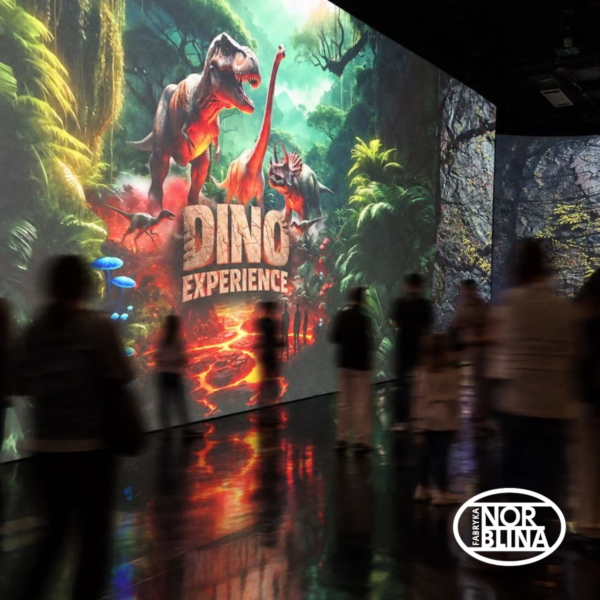 Dino Experience www Dino Experience www