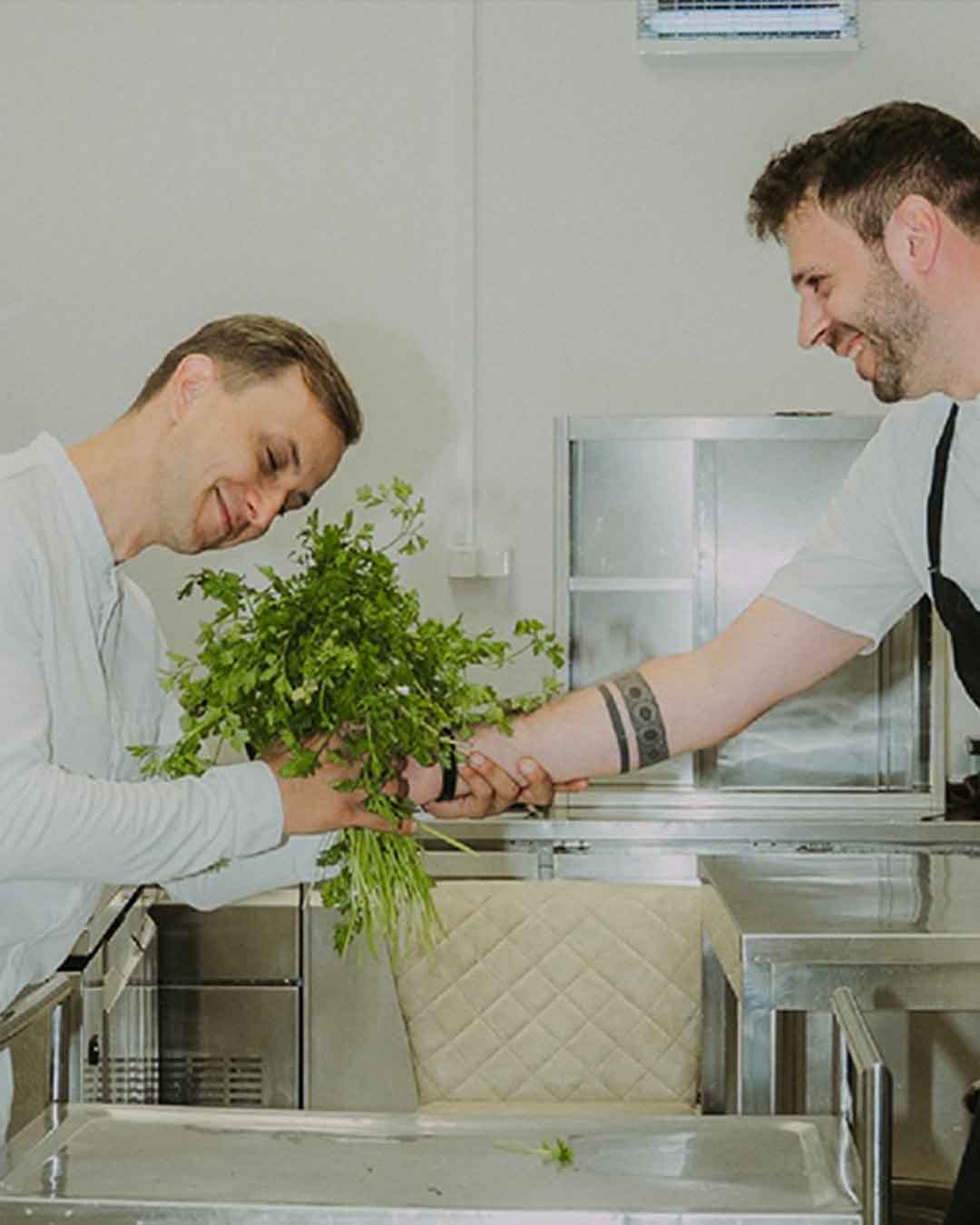 FN-Gastronomia_LP-general_DIALOG_02